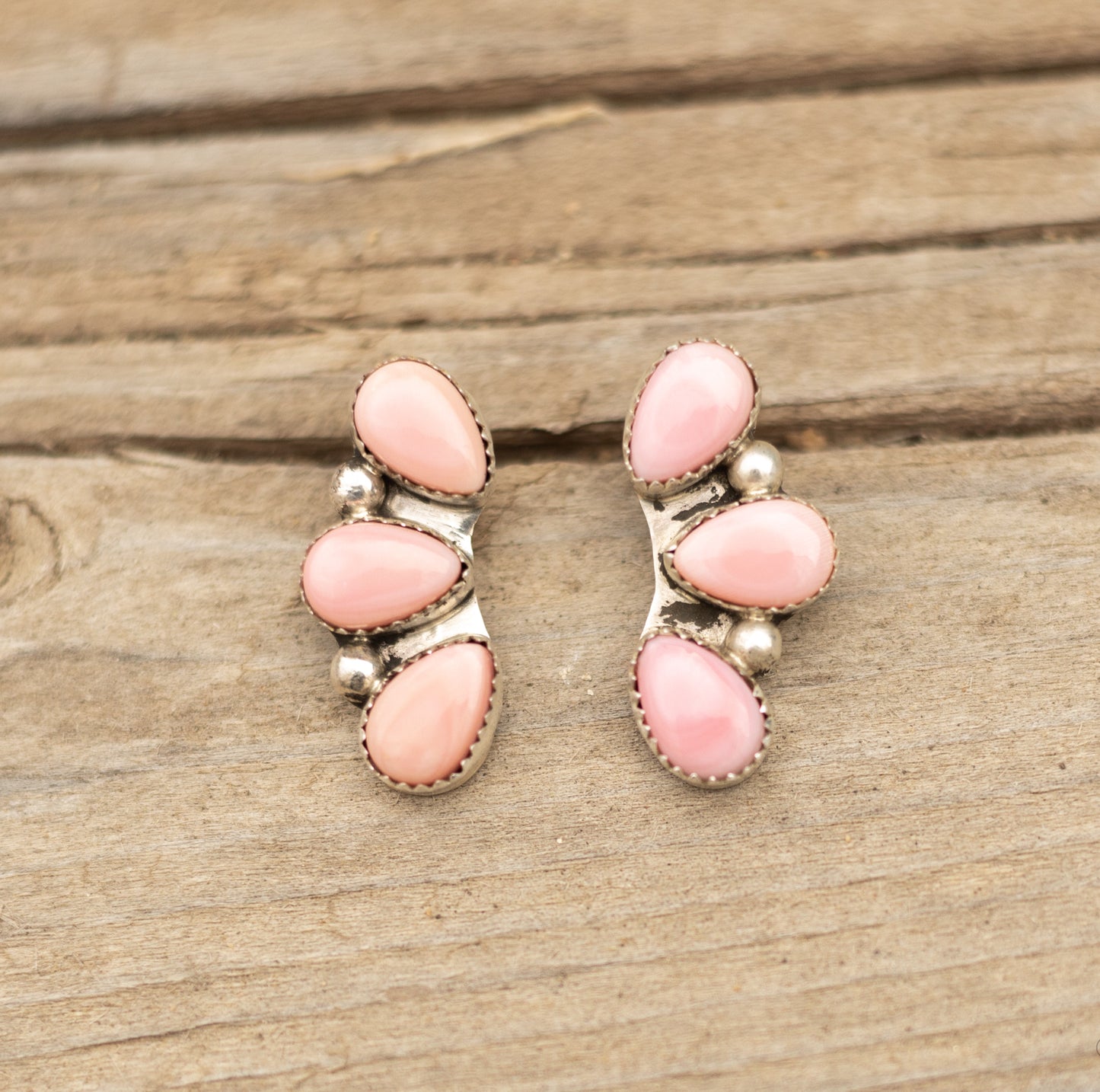 Curved Pink Conch Studs